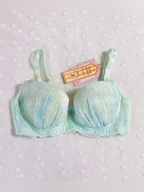 US-34B/JP-C75 Japanese Brand tutu anna Glittery Shells Embroidery PushUp Bra NWT